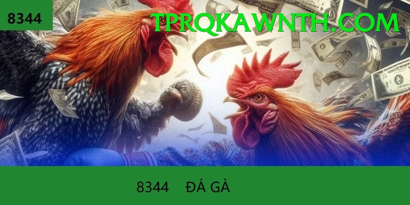 Đá Gà Trực Tiếp - Hhbet