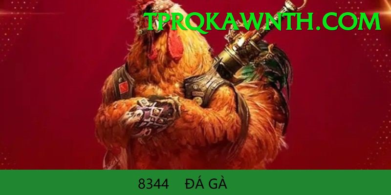 Đá Gà Trực Tiếp - Trải nghiệm tuyệt vời